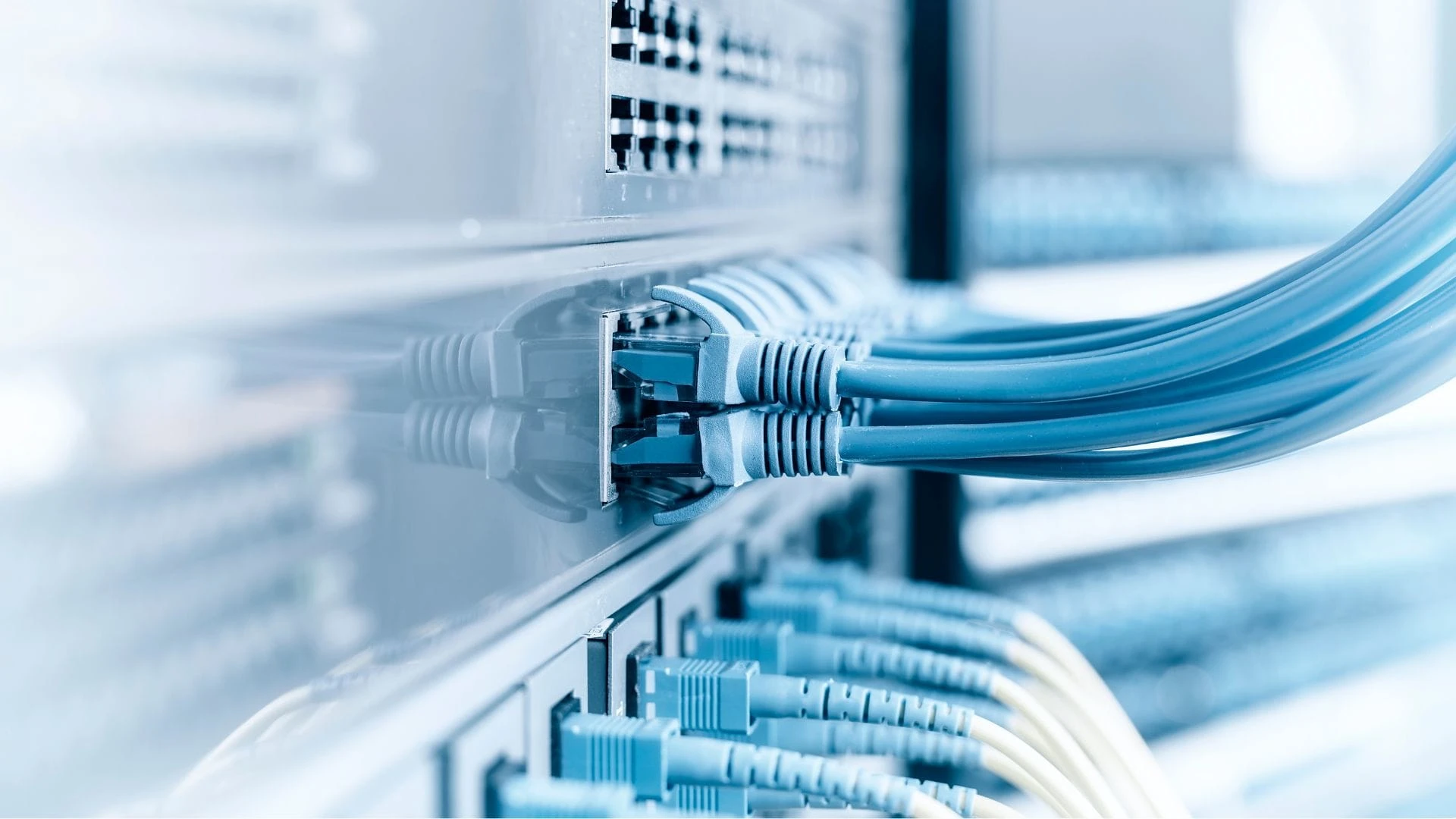 network cable network