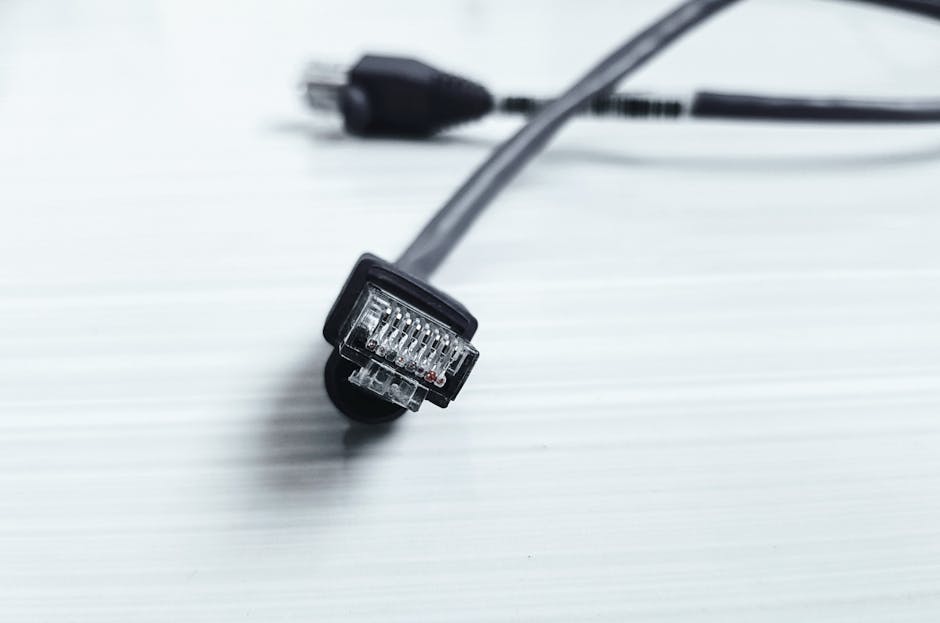 Detailed image of a black ethernet cable with RJ-45 connector on a white surface.