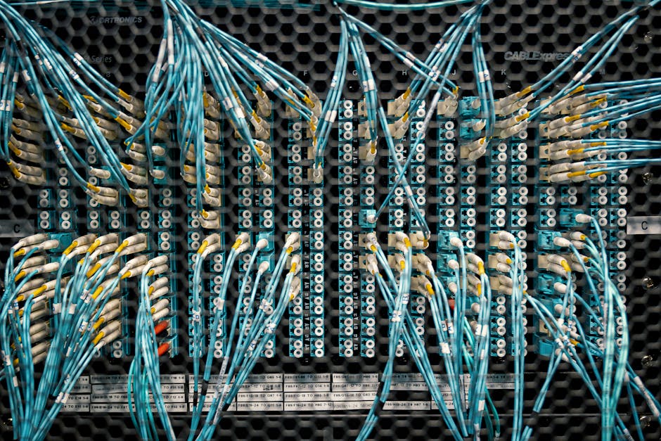 Close-up of color-coded fiber optic cables in a data center.