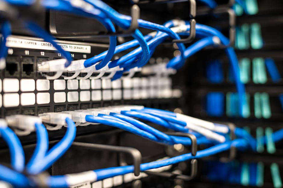 Blue plastic wires with white tips connected to server and provide access to information Blue plastic wires with white tips connected to server and provide access to information
