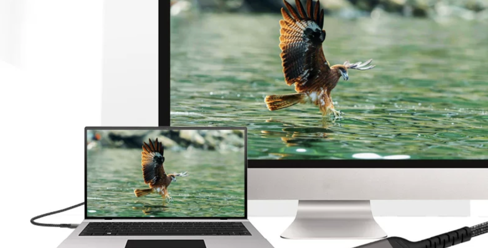 3 1 rf654uc15k9s9c5nbz22hvj5mnrhhkdwofgd1jgvr4 Type C to HDMI for video transmission